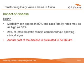 Delivering animal disease prevention services in value chains