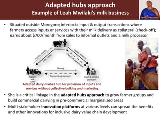 Growing commercial dairying in pre-commercial areas [Tanzania]