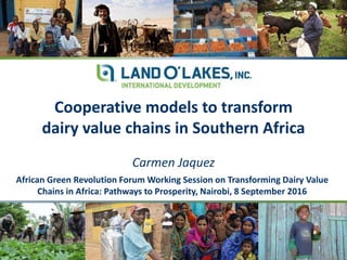 African Green Revolution Forum Working Session on Transforming Dairy Value
Chains in Africa: Pathways to Prosperity, Nairobi, 8 September 2016
Cooperative models to transform
dairy value chains in Southern Africa
Carmen Jaquez
 