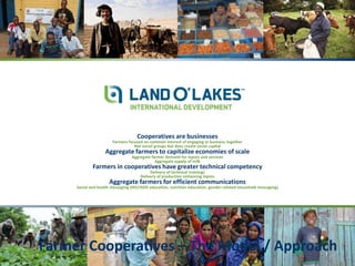 Cooperative models to transform dairy value chains in Southern Africa