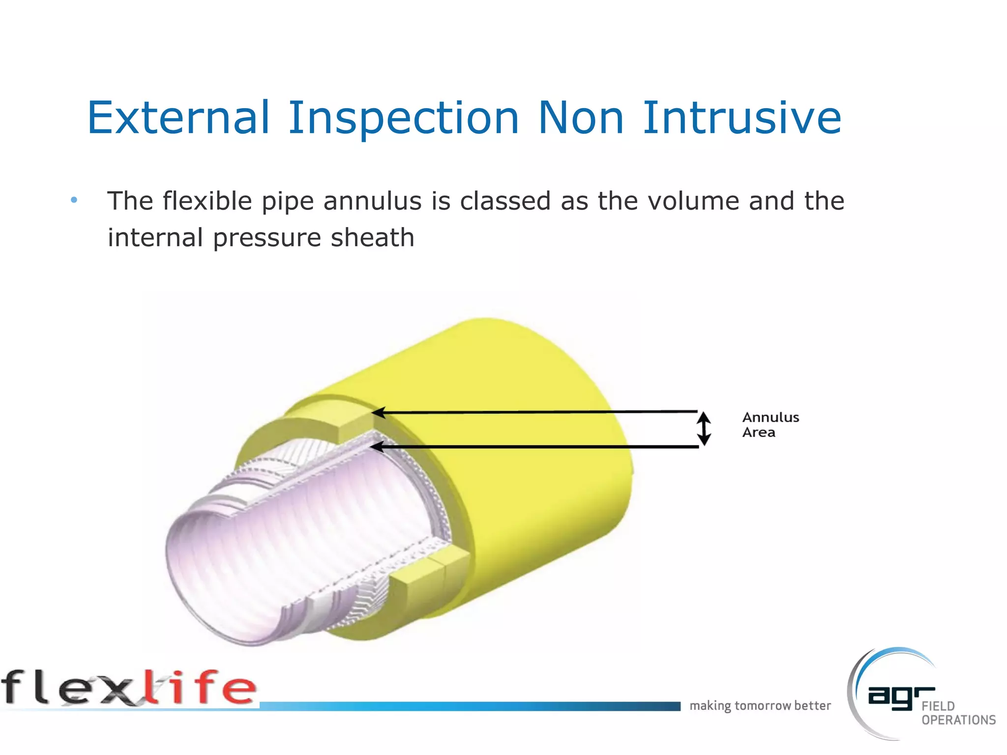 The flexible pipe annulus is classed as the volume and the internal pressure sheath External Inspection Non Intrusive 