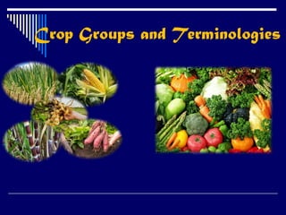 Crop Groups and Terminologies
 