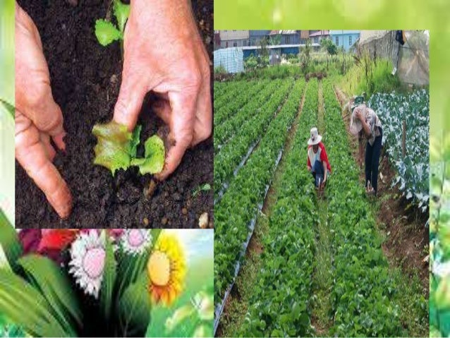 Agri 5 lesson 1