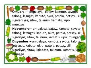 Oktubre – ampalaya, bataw, kamote, sayote,
talong, lesugas, kabute, okra, patola, petsay , sili,
sigararilyas, sitaw, talinum, kamatis, upo,
munggo
Nobyembre – ampalaya, bataw, kamote, sayote,
talong, letsugas, kabute, okra, patola, petsay, sili,
sigarilyas, sitaw, talinum, kamatis, upo, munggo
Disyembre – ampalaya, kamote, sayote, talong,
letsugas, kabute, okra, patola, petsay, sili,
sigarilyas, sitaw, kalabasa, talinum, kamatis, upo,
munggo
 