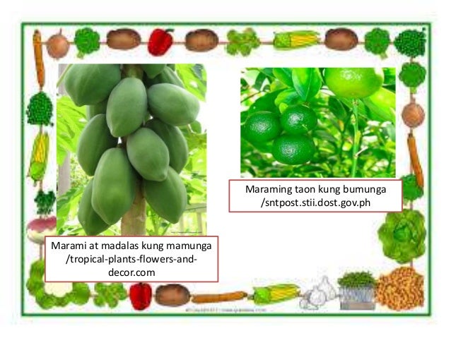 Agri 5 Lesson 3