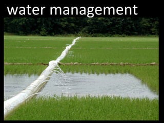 water management 