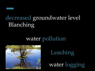 - decreased  groundwater level Blanching water  pollution Leaching  water  logging 
