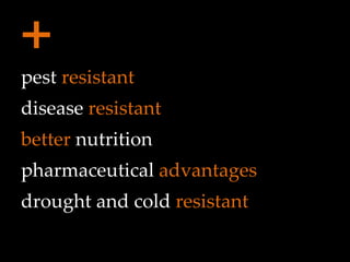 pest  resistant disease  resistant better  nutrition pharmaceutical  advantages drought and cold  resistant + 