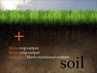 soil More  crop output Better  crop output Improved  Micro-nutritional content + 
