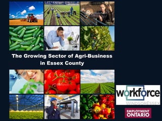 The Growing Sector of Agri-Business
in Essex County
 