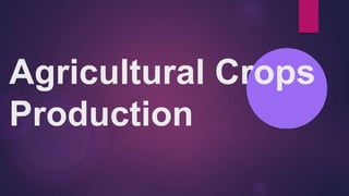 Agricultural Crops
Production
 