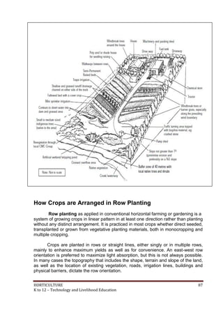 Check Row Planting Pattern Agri crops learners module | PDF