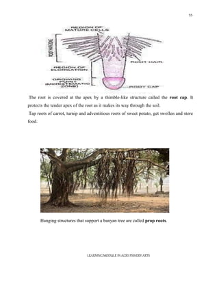 AGRI-FISHERY-CHAPTER-1.docx