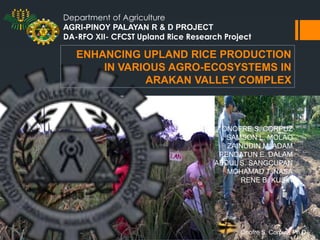 Department of Agriculture
AGRI-PINOY PALAYAN R & D PROJECT
DA-RFO XII- CFCST Upland Rice Research Project

ENHANCING UPLAND RICE PRODUCTION
IN VARIOUS AGRO-ECOSYSTEMS IN
ARAKAN VALLEY COMPLEX

ONOFRE S. CORPUZ
SAMSON L. MOLAO
ZAINUDIN M. ADAM
PENDATUN E. DALAM
ABDUL S. SANGCUPAN
MOHAMAD T. NASA
RENE B. KUSIN

Onofre S. Corpuz, Ph.D

 
