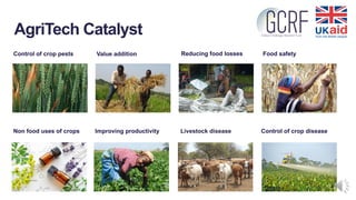 AgriTech Catalyst
Value addition Food safety
Non food uses of crops
Control of crop pests
Improving productivity Livestock...