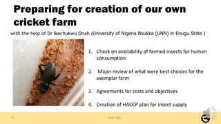 10/07/2020
Preparing for creation of our own
cricket farm
with the help of Dr Ikechukwu Onah (University of Nigeria Nsukka...