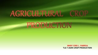 MARY CRIS L. FABROA
TLE 7-AGRI CROP PRODUCTION
 