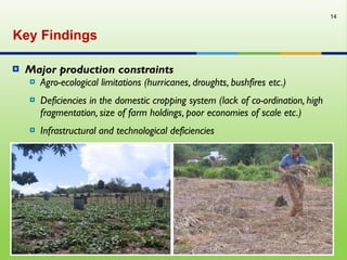 Agri-tourism linkages in jamaica: case study of the negril tourism industry