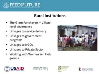 Agricultural or Food System Transformation in Asia ?