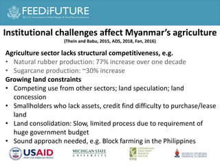 Agricultural or Food System Transformation in Asia ?