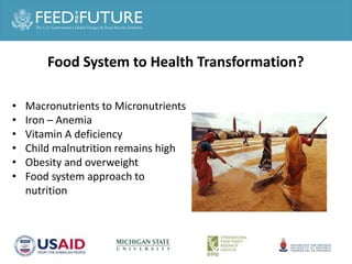 Agricultural or Food System Transformation in Asia ?