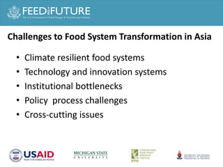 Agricultural or Food System Transformation in Asia ?