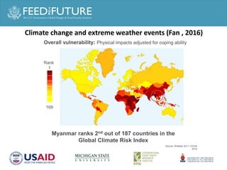 Agricultural or Food System Transformation in Asia ?