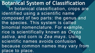 Comprehensive Classification of Crops: Botanical, Agronomic, and ...