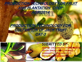 PRODUCTION TECHNOLOGY FOR FRUIT
AND PLANTATION CROP
AGRI2014
PRODUCTION TECHNOLOGY FOR
CULTVATION OF JACK FRUIT
CAT-3
SUBMITTED BY-
AKSHAY CHOUDHARY(19SBS2080050)
ARJUN SINGH(19SBS2080060)
SIDDHARTH(19SBS2080037)
PRIYANKA(19SBS2080109)
 