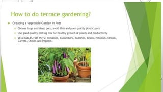 Terrace farming | PDF