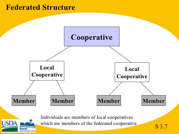 Agri 2301 part I ch 3 structure of cooperatives