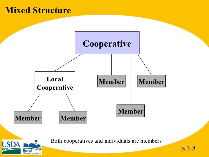 Agri 2301 part I ch 3 structure of cooperatives