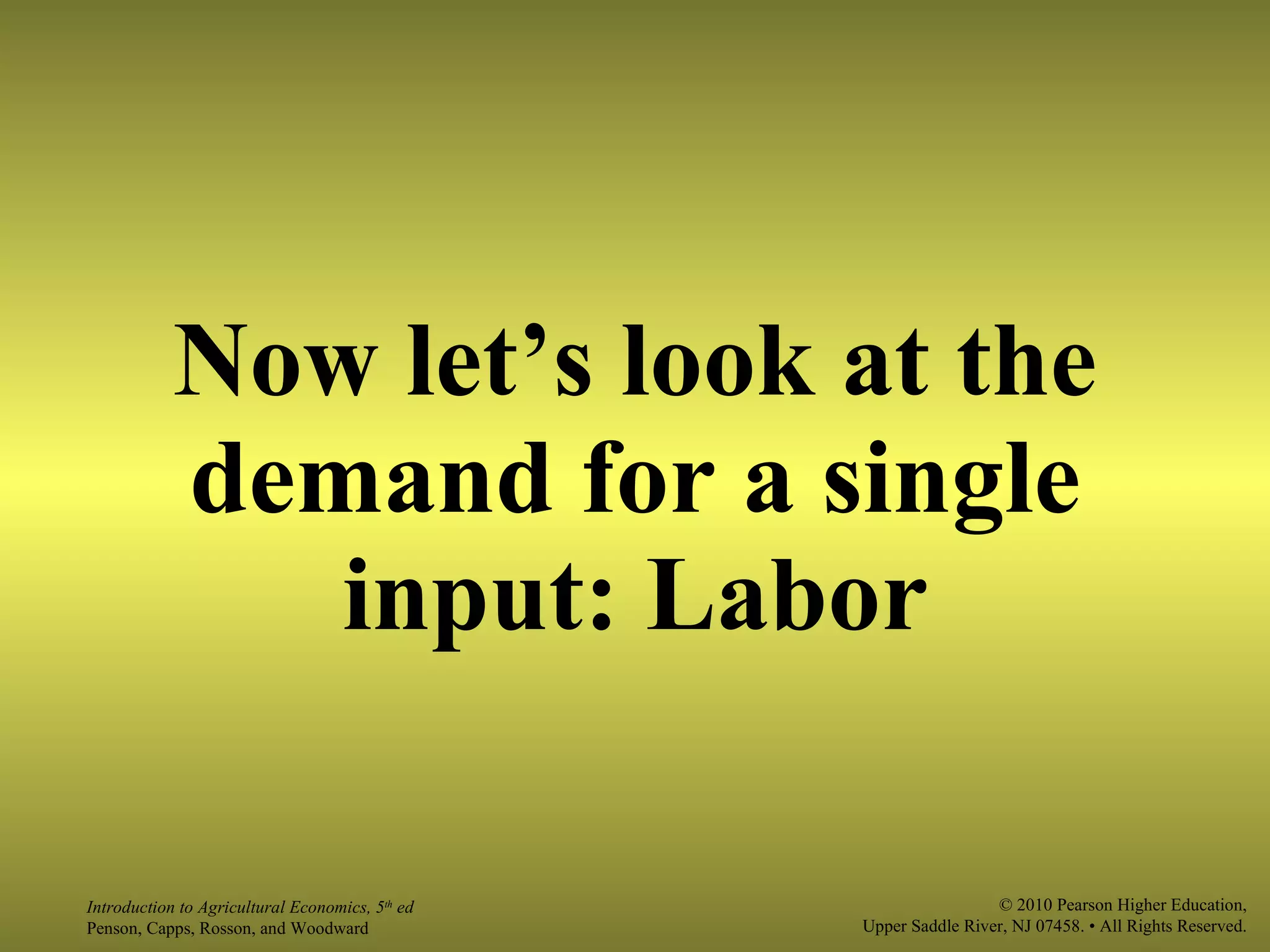 Now let’s look at the demand for a single input: Labor 