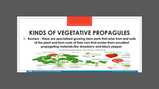 Comprehensive Guide to Plant Propagation Methods and Materials | PPTX
