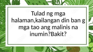 Tulad ng mga
halaman,kailangan din ban g
mga tao ang malinis na
inumin?Bakit?
 
