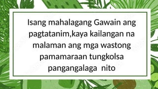Isang mahalagang Gawain ang
pagtatanim,kaya kailangan na
malaman ang mga wastong
pamamaraan tungkolsa
pangangalaga nito
 