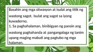 Basahin ang mga sitwasyon at isulat ang titik ng
wastong sagot. Isulat ang sagot sa iyong
kuwaderno.
1. Sa paghahalaman, binibigyan ng pansin ang
wastong paghahanda at pangangalaga ng tanim
upang maging mabuti ang pagtubo ng mga
halaman.
 