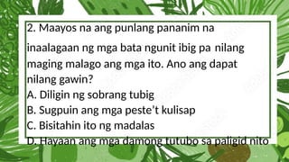 2. Maayos na ang punlang pananim na
inaalagaan ng mga bata ngunit ibig pa nilang
maging malago ang mga ito. Ano ang dapat
nilang gawin?
A. Diligin ng sobrang tubig
B. Sugpuin ang mga peste’t kulisap
C. Bisitahin ito ng madalas
D. Hayaan ang mga damong tutubo sa paligid nito
 