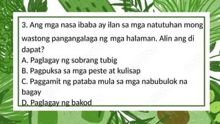 3. Ang mga nasa ibaba ay ilan sa mga natutuhan mong
wastong pangangalaga ng mga halaman. Alin ang di
dapat?
A. Paglagay ng sobrang tubig
B. Pagpuksa sa mga peste at kulisap
C. Paggamit ng pataba mula sa mga nabubulok na
bagay
D. Paglagay ng bakod
 