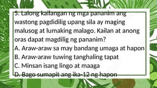 5. Lalong kailangan ng mga pananim ang
wastong pagdidilig upang sila ay maging
malusog at lumaking malago. Kailan at anong
oras dapat magdilig ng pananim?
A. Araw-araw sa may bandang umaga at hapon
B. Araw-araw tuwing tanghaling tapat
C. Minsan isang lingo at maaga
D. Bago sumapit ang ika-12 ng hapon
 