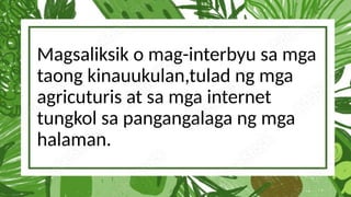 Magsaliksik o mag-interbyu sa mga
taong kinauukulan,tulad ng mga
agricuturis at sa mga internet
tungkol sa pangangalaga ng mga
halaman.
 