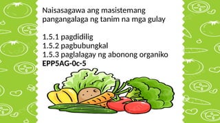 Naisasagawa ang masistemang
pangangalaga ng tanim na mga gulay
1.5.1 pagdidilig
1.5.2 pagbubungkal
1.5.3 paglalagay ng abonong organiko
EPP5AG-0c-5
 