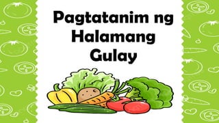 Pagtatanim ng
Halamang
Gulay
 