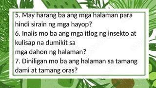 5. May harang ba ang mga halaman para
hindi sirain ng mga hayop?
6. Inalis mo ba ang mga itlog ng insekto at
kulisap na dumikit sa
mga dahon ng halaman?
7. Diniligan mo ba ang halaman sa tamang
dami at tamang oras?
 