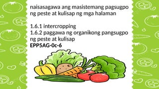 naisasagawa ang masistemang pagsugpo
ng peste at kulisap ng mga halaman
1.6.1 intercropping
1.6.2 paggawa ng organikong pangsugpo
ng peste at kulisap
EPP5AG-0c-6
 