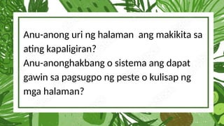 Anu-anong uri ng halaman ang makikita sa
ating kapaligiran?
Anu-anonghakbang o sistema ang dapat
gawin sa pagsugpo ng peste o kulisap ng
mga halaman?
 