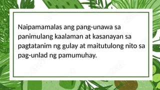 Naipamamalas ang pang-unawa sa
panimulang kaalaman at kasanayan sa
pagtatanim ng gulay at maitutulong nito sa
pag-unlad ng pamumuhay.
 