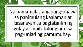 Naipamamalas ang pang-unawa
sa panimulang kaalaman at
kasanayan sa pagtatanim ng
gulay at maitutulong nito sa
pag-unlad ng pamumuhay.
 