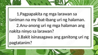 1.Pagpapakita ng mga larawan sa
taniman na my ibat-ibang uri ng halaman.
2.Anu-anong uri ng mga halaman ang
nakita ninyo sa larawan?
3.Bakit isinasagawa ang ganitong uri ng
pagtatanim?
 