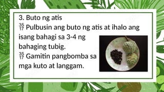 3. Buto ng atis
Pulbusin ang buto ng atis at ihalo ang

isang bahagi sa 3-4 ng
bahaging tubig.
Gamitin pangbomba sa

mga kuto at langgam.
 